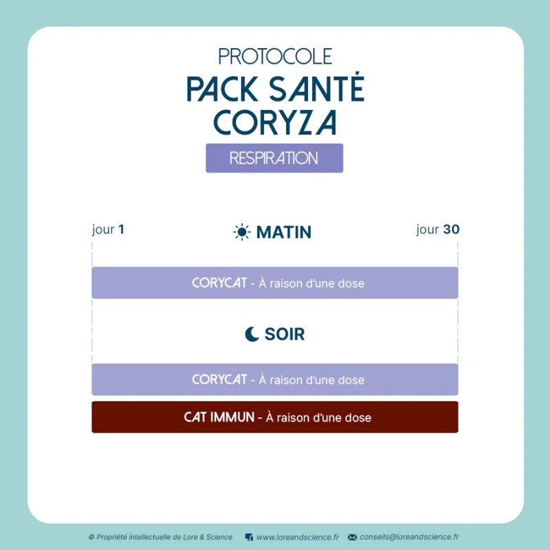 Coryza Health Pack - Immune support cat viral context - Lore & Science